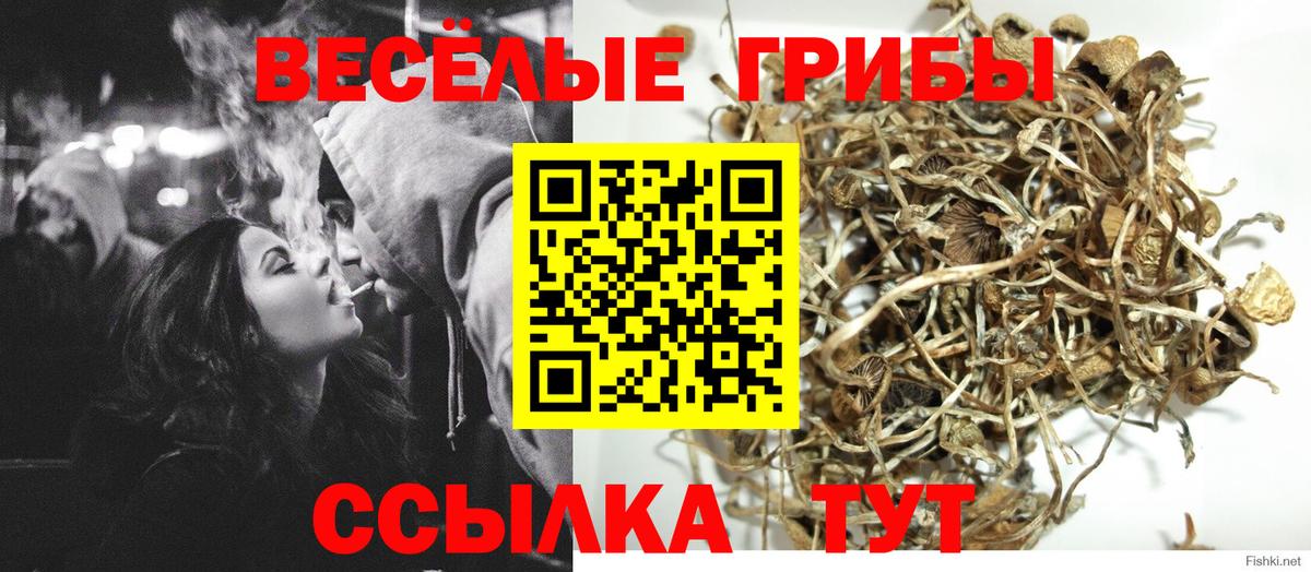 Галлюциногенные грибы Magic Shrooms Шарыпово