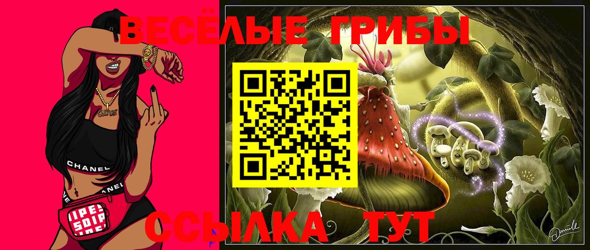 Шарыпово  Псилоцибиновые грибы GOLDEN TEACHER  Галлюциногенные грибы мицелий  Вход с VPN 